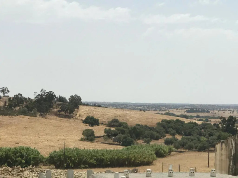 The Little Owls Nest Castro Verde