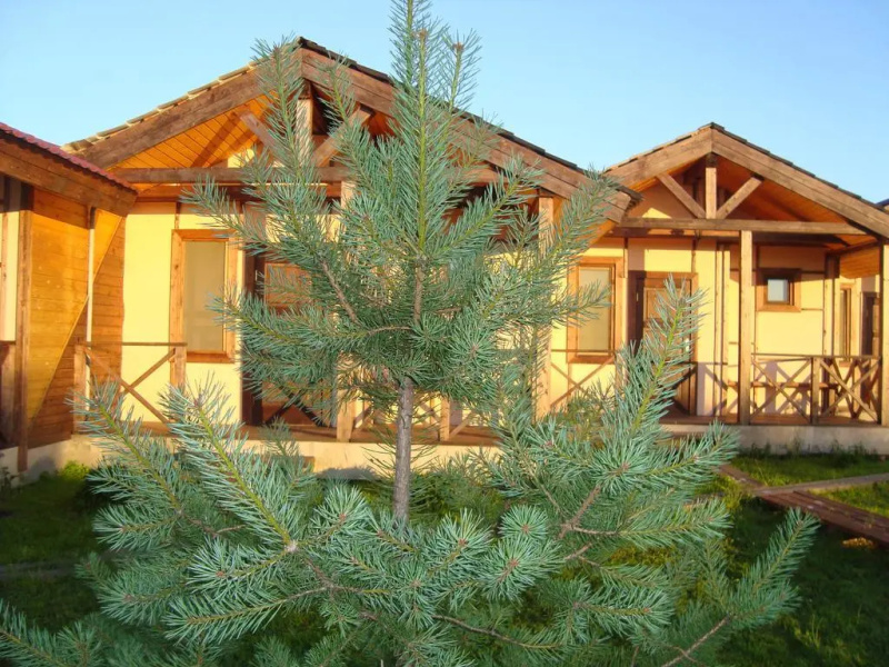 Hotel Complex Ostrov