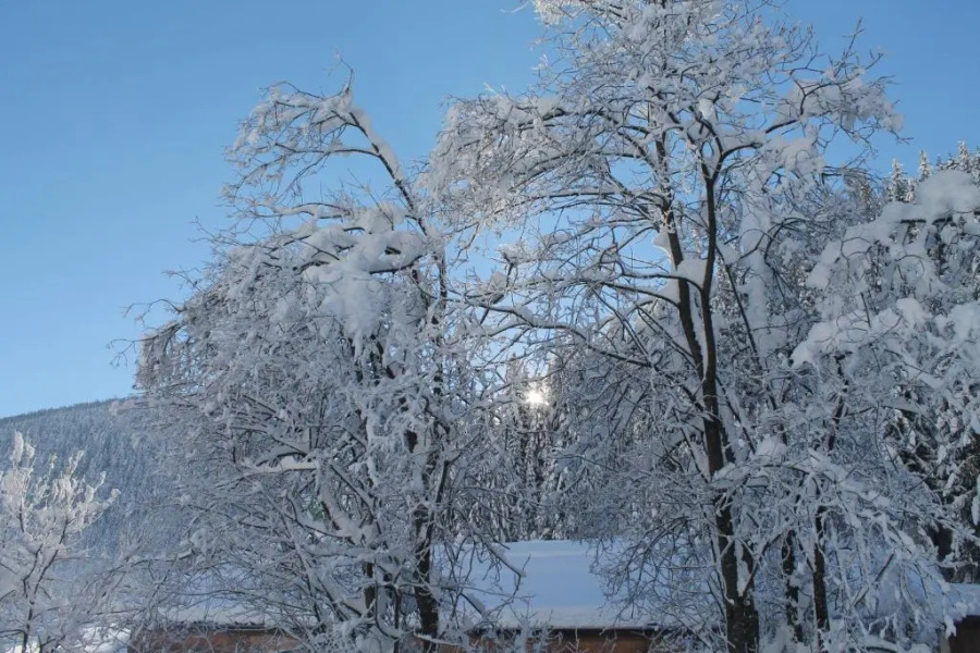 Ferienwohnungen Steidl