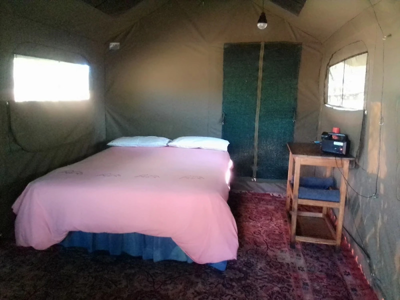 Warthogs Safari Camp