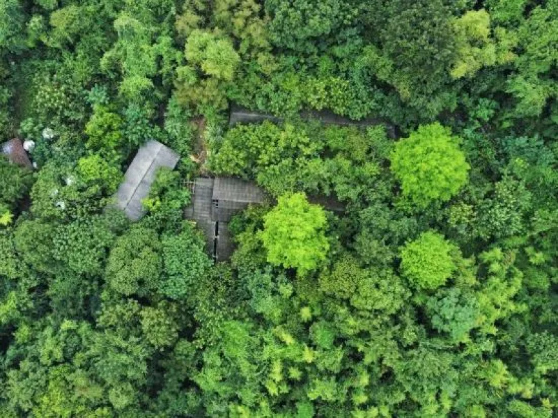 Shangdao Homestay