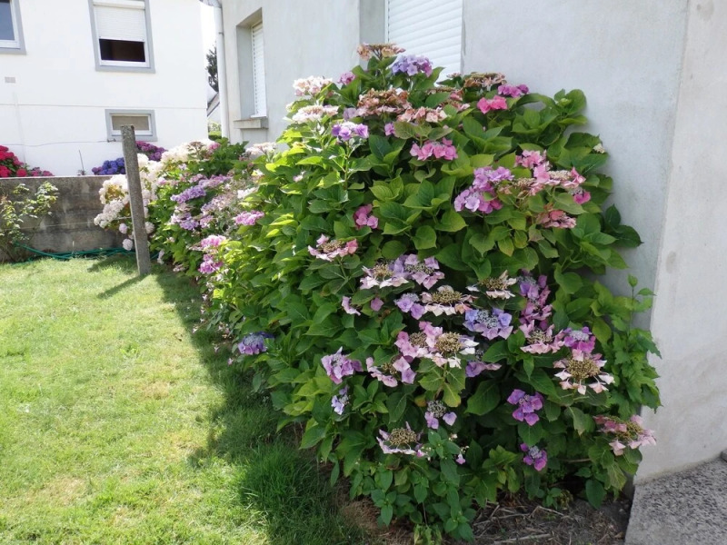 Property With 2 Bedrooms in Erdeven, With Enclosed Garden - 3 km From