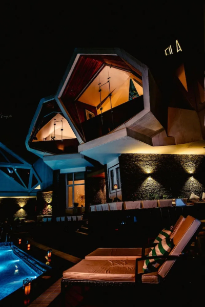 Tree of Life Eila Art Hotel