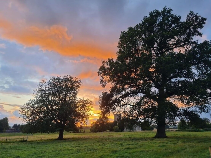 Nine Yards Farrington's Family Glamping