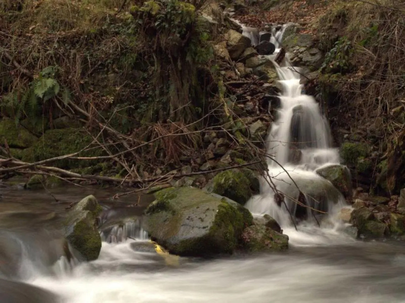 The Little Mountain Cabin