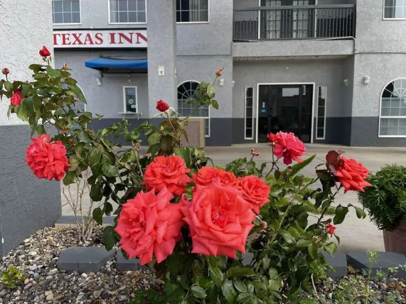 Texas Inn La Feria