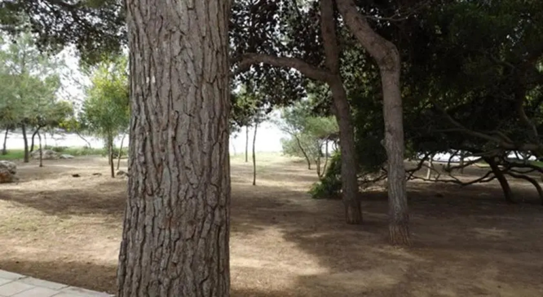 Bilo Rivabella Kale Polis