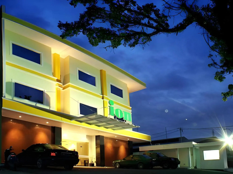 Ion Hotel