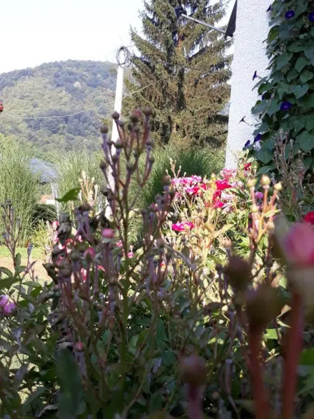 Guesthouse Kolonaki Hellas