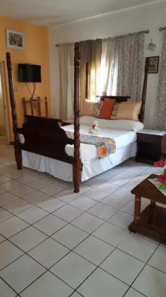 Palm Tree Guest House