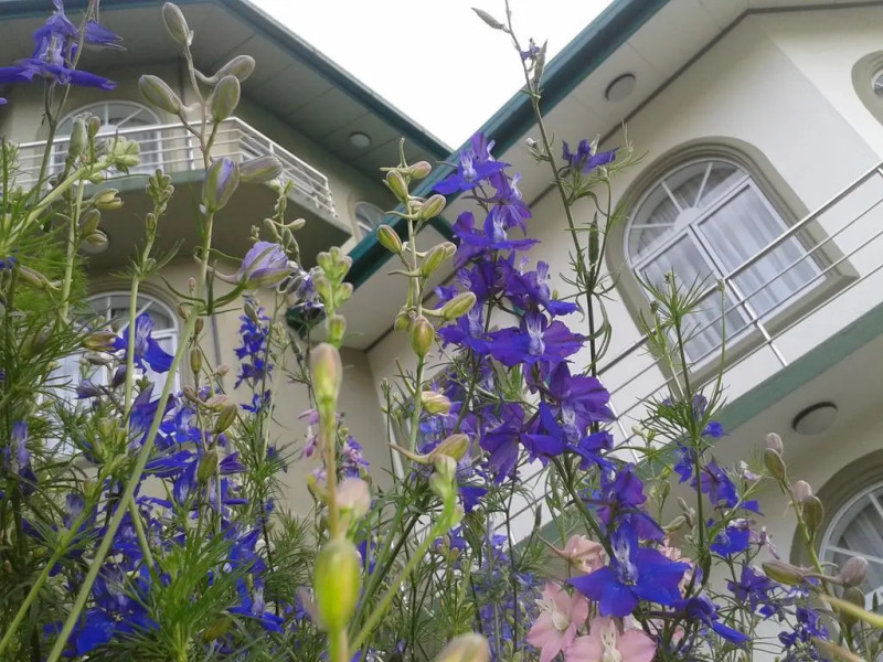 Qantara Hotel Nuwaraeliya