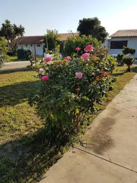 Apartement Kos CountryHouses