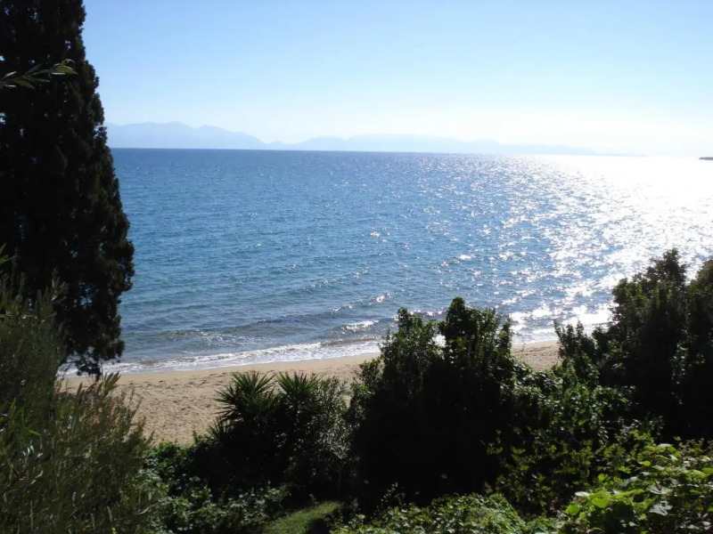 Takis Haikos House with two apartments two minutes walk to the beach Peroulia