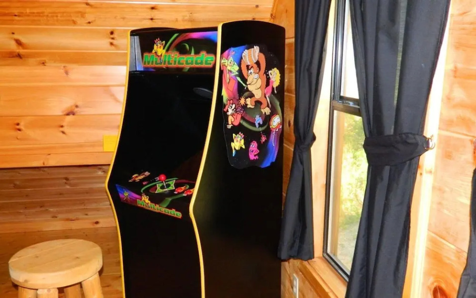 A Bear's Eye View #251