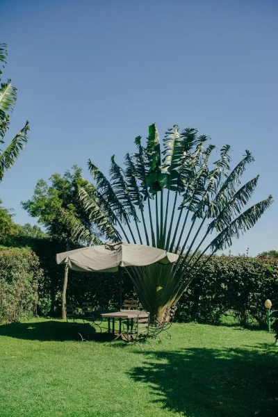 Sahara Gardens Bomet