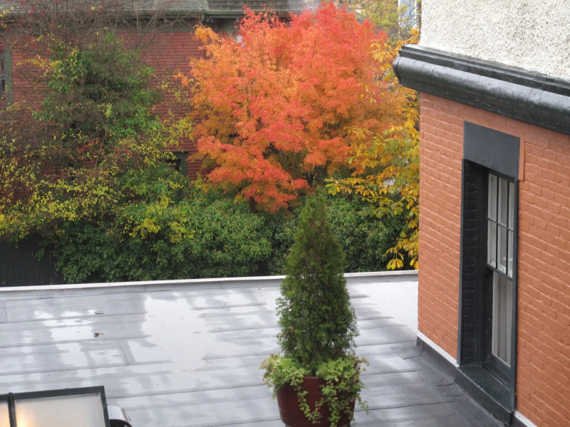 James Bay Inn Hotel & Suites