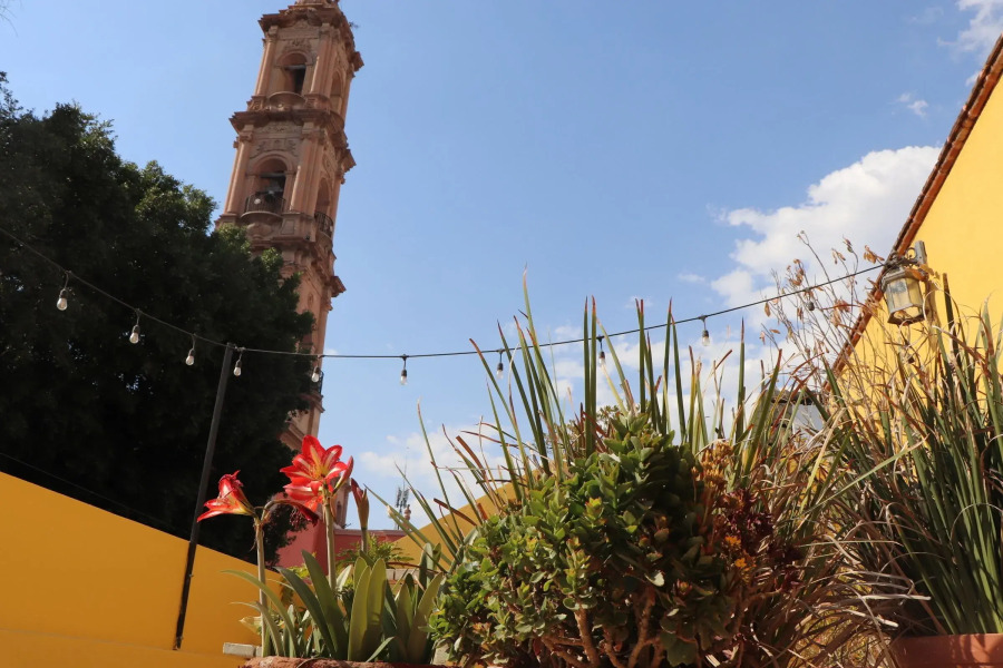 Hotel Boutique Casa Damiana