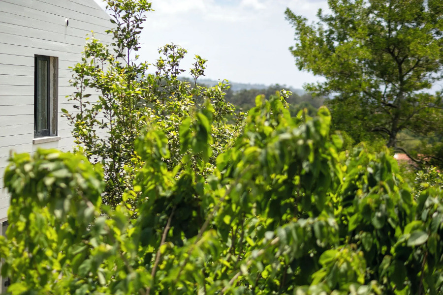 Solar Branco Eco Estate