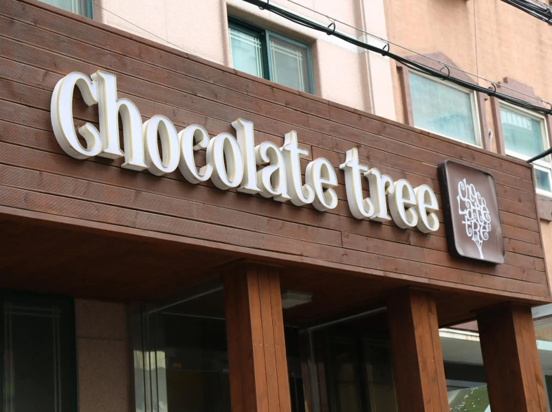 Chocolate Tree