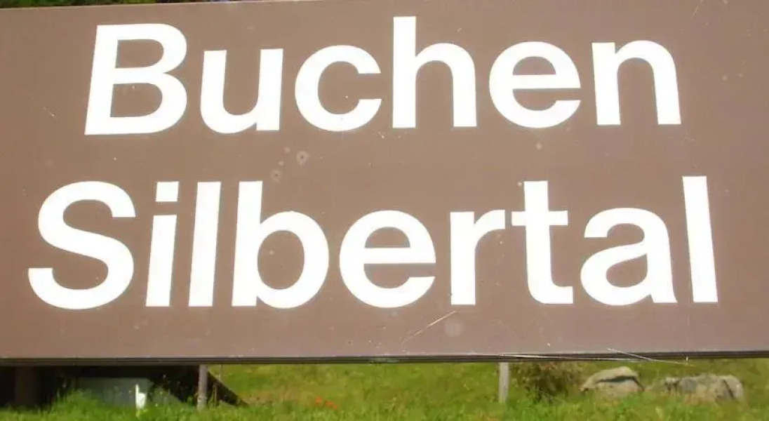 Almhütte Ferienhaus Buchen