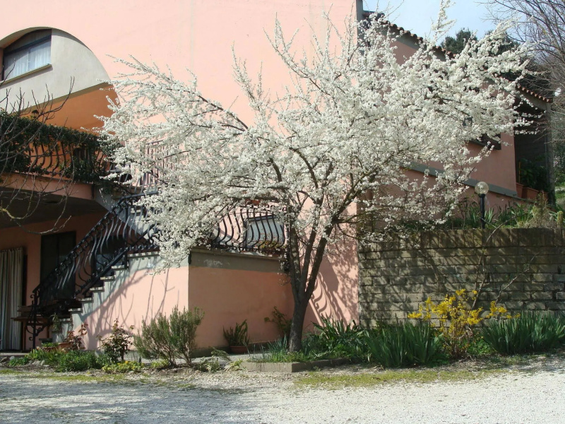 BeB il Roseto