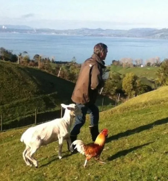 Lakeview Heights BB Farmstay