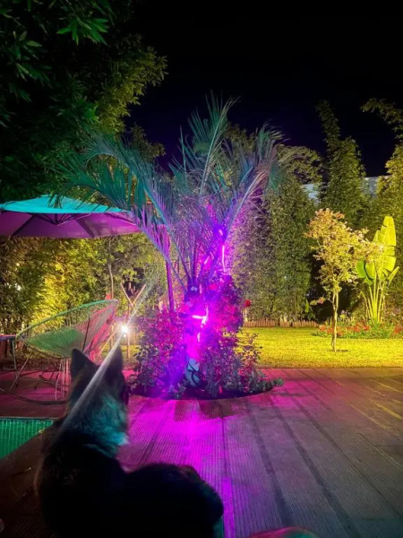 Superbe Rez de jardin avec piscine privative