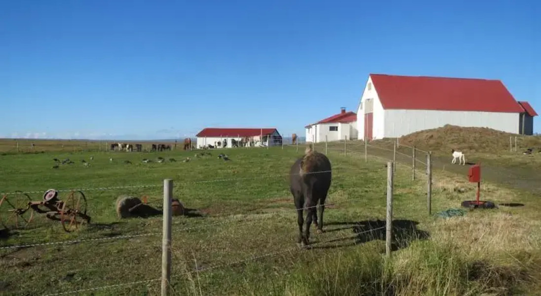 Hreidurborg Holiday Home