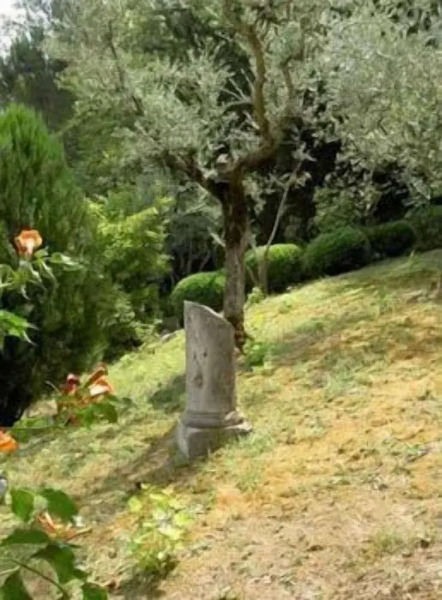 Agriturismo Villa Cicchi