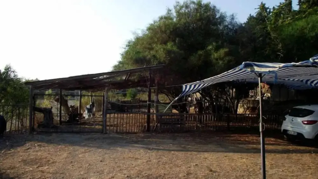 Camping Afrodite