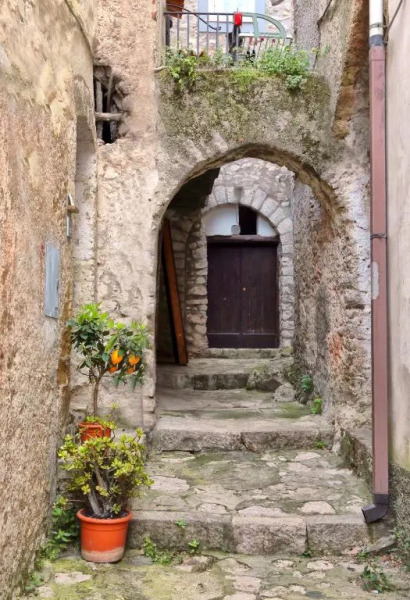 Freshwater Pirates Apt #19