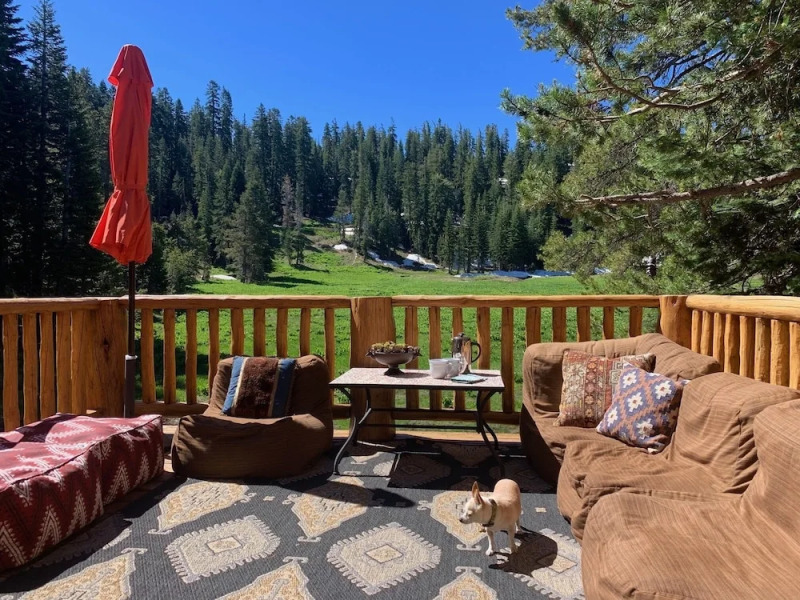 Meadow Out Luxury Cabin