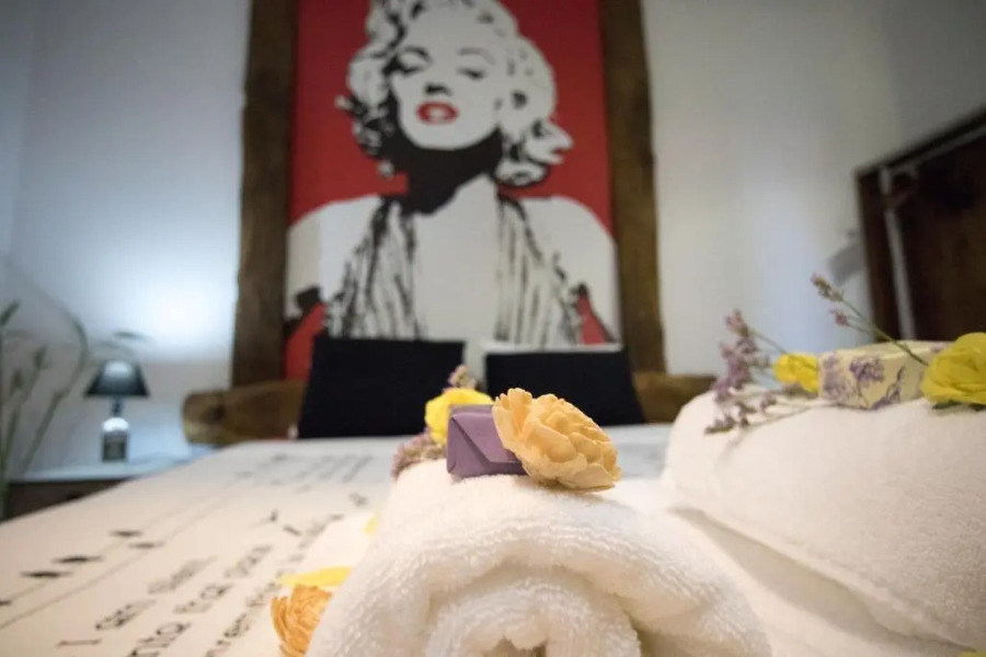 The Modern & Recycled House