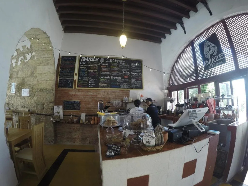 Amatle Cafe Organico & Hostel