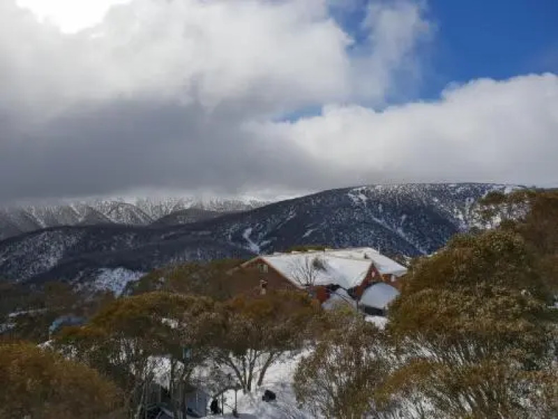 Cedarwood Apartments