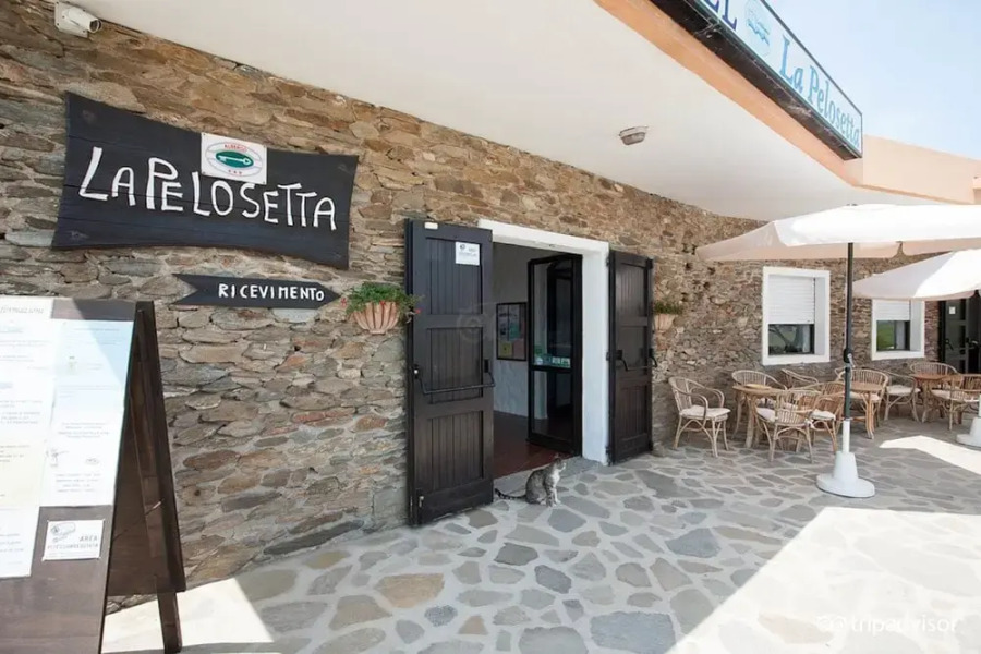 Hotel in Stintino 50 mt from the sea