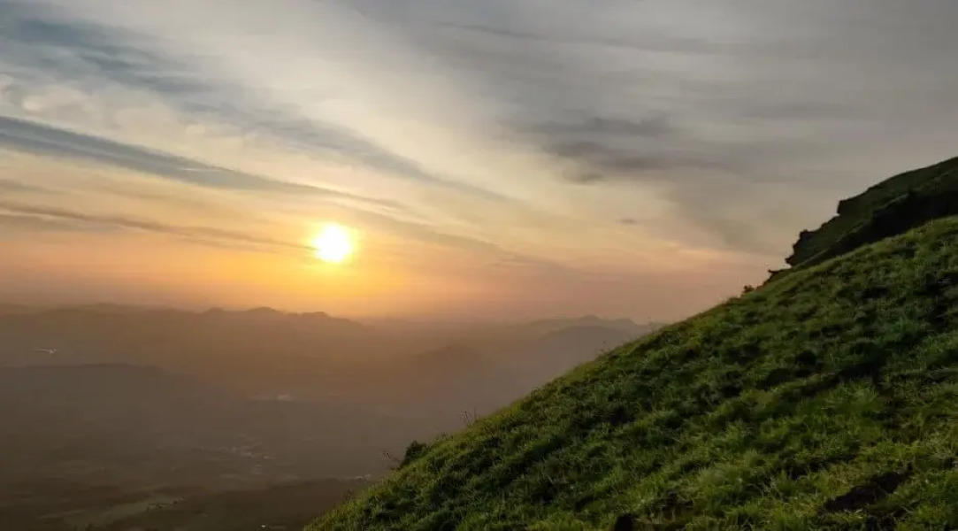 Kemmannugundi Hill Resort by Jungle Lodges