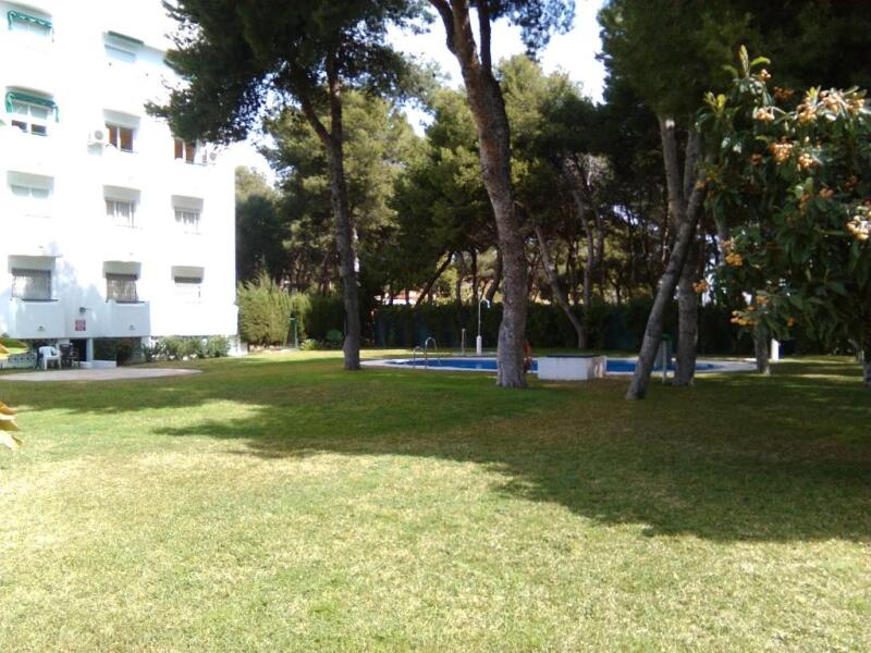 Apartamento Pinar de Montemar