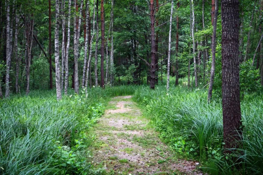 Holiday House Randu Pļavas