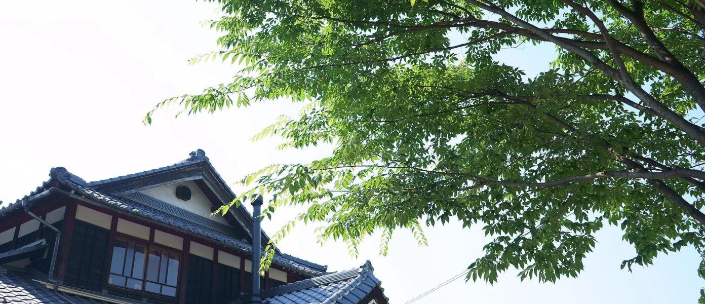 Cafe & Guesthouse Name Came Ono