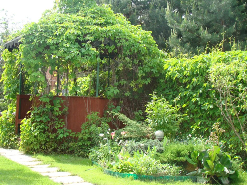 V Domodedovo Loza Mini-Hotel