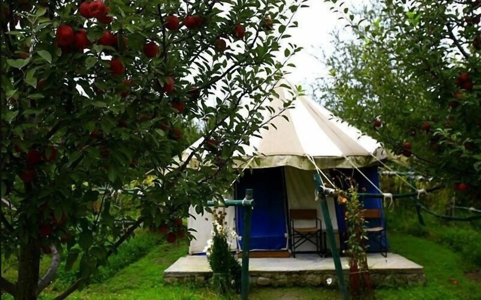 Banjara Camp and Retreat Sangla