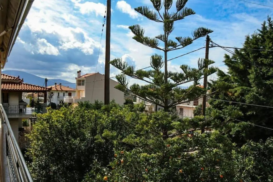 Nice house in Euboea