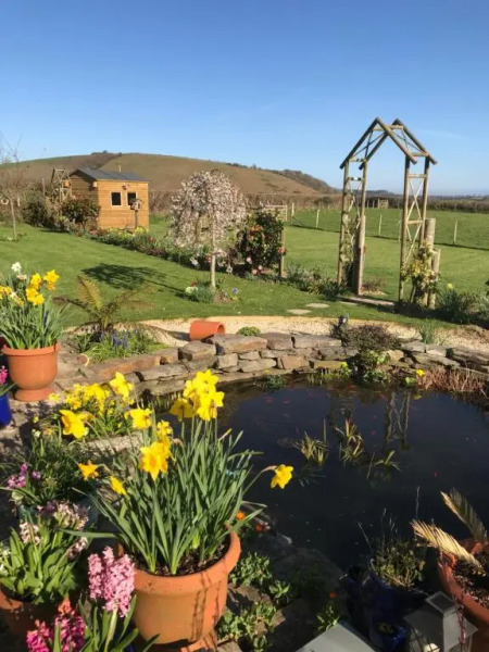 Westerley Country B & B with exclusive Guest lounge