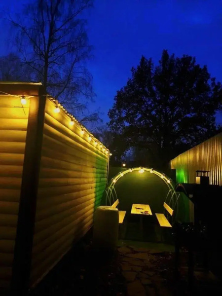 Лесная сказка на улице Графская 17