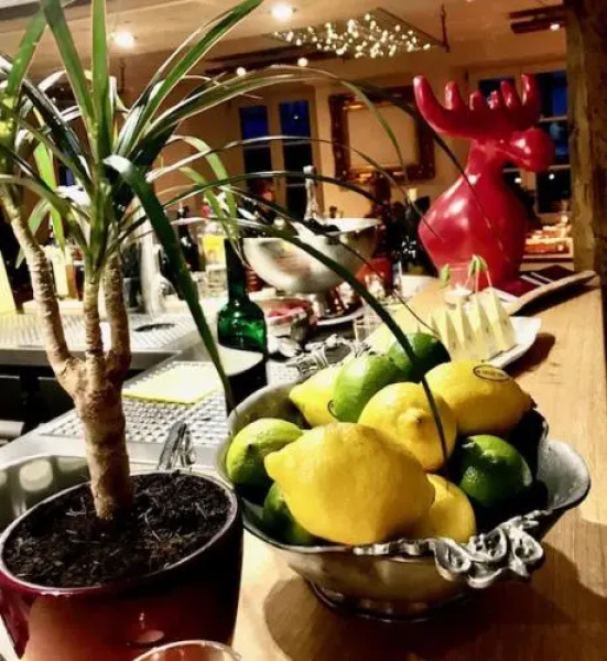 Adler 1604 Boutique Hotel And Restaurant