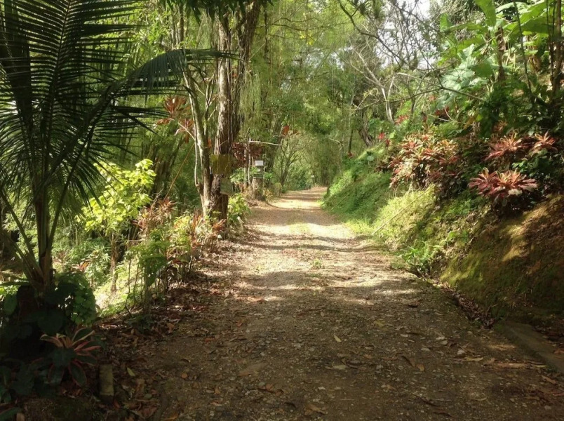 Trouvaille Eco Villa