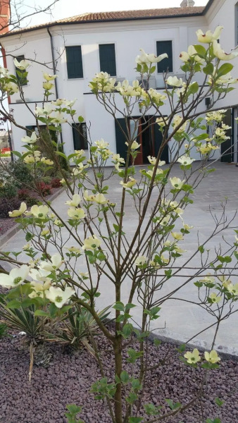 Hotel Alla Villa Fini