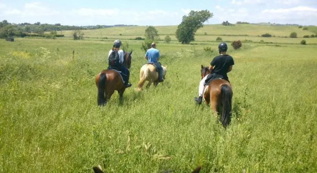 Cavallo Di Fiori - Agriscuderia