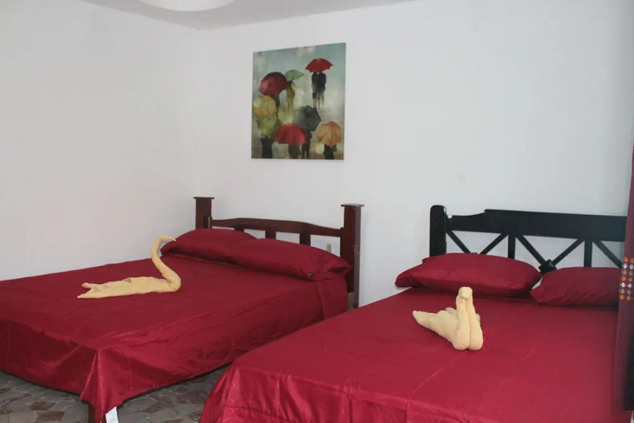 Tortuguero Hostel & Backpackers